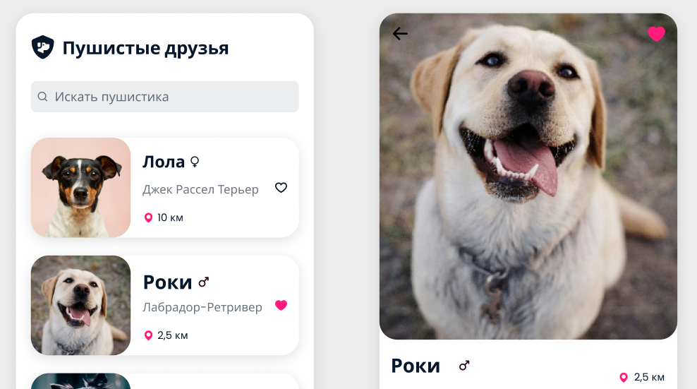 Пушистые друзья